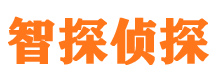 子洲外遇调查取证